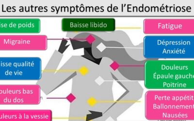 Endométriose