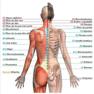 Remise 50% sur le massage sensitif et émotionnel en mars 2022