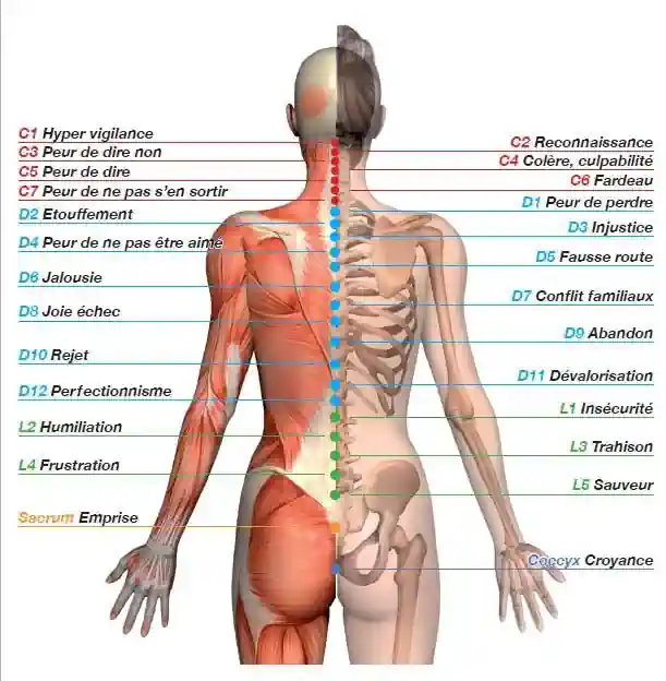 massage sensitif et émotionnel